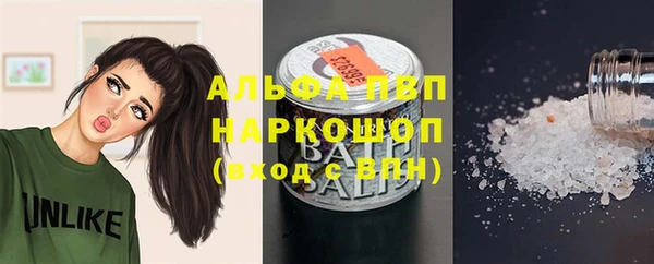 спиды Богданович