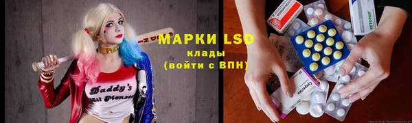 бошки Богородицк