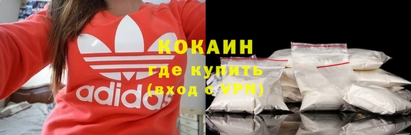 спиды Богданович