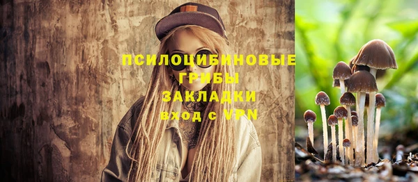спиды Богданович