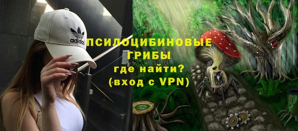 бошки Богородицк