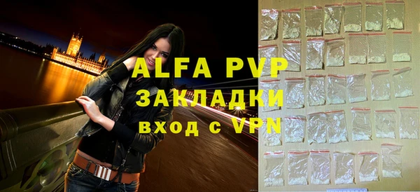 спиды Богданович
