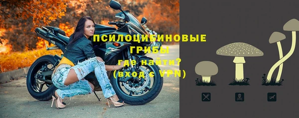 спиды Богданович