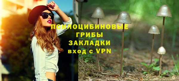 бошки Богородицк
