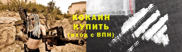 бошки Богородицк