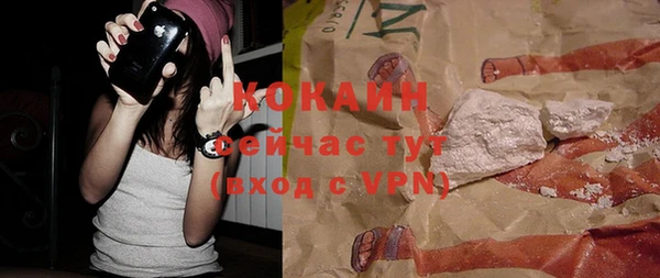 спиды Богданович