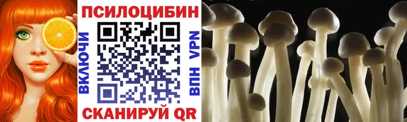 Псилоцибиновые грибы прущие грибы  где купить наркоту  Воркута 